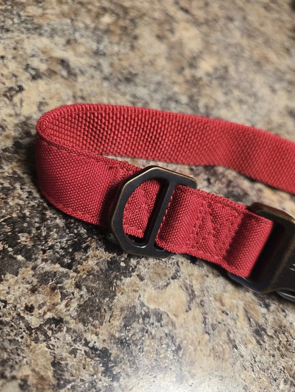 Red Nylon Carhartt Dog Collar
